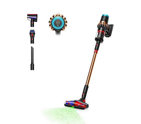 Dyson Piston Animal DS60 