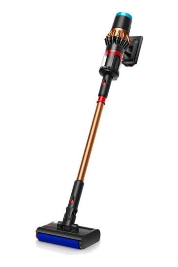 Dyson Piston Animal DS60 