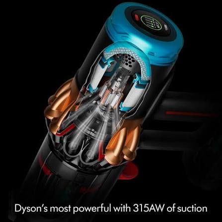 Dyson Piston Animal DS60 